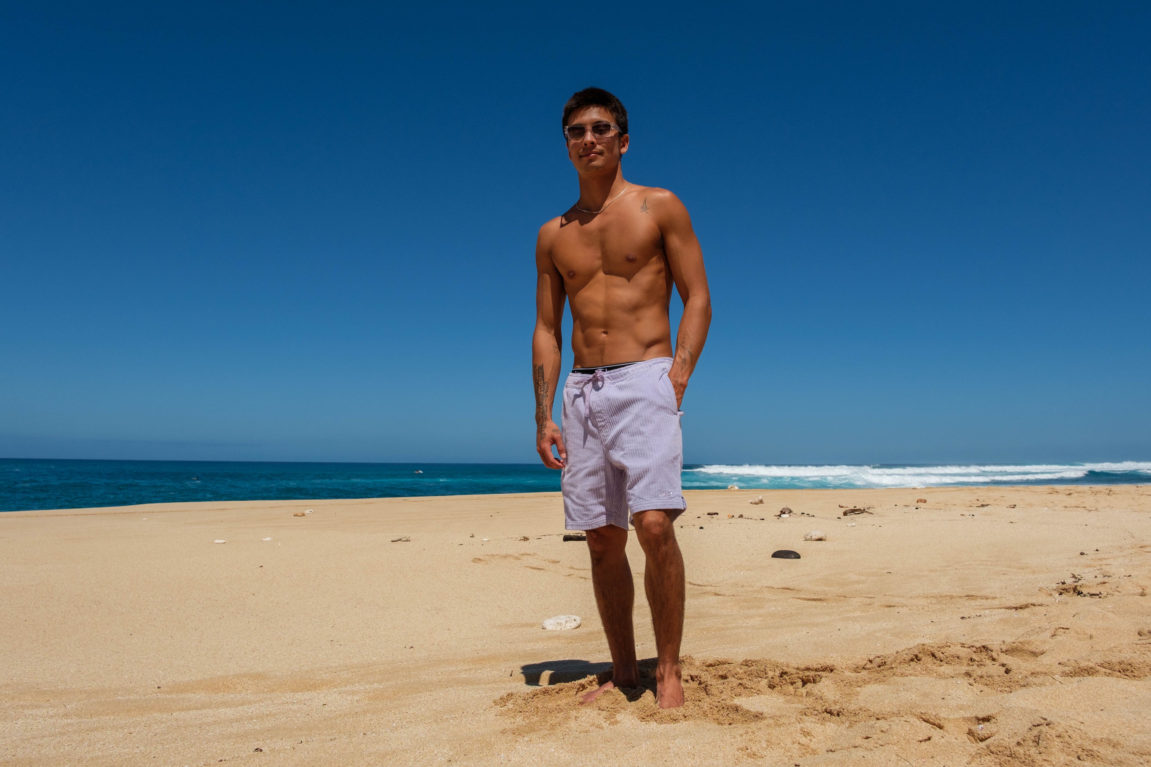 T&C Surf Designs Corduroy Beach Walkshorts 19'' - Washed Lavender