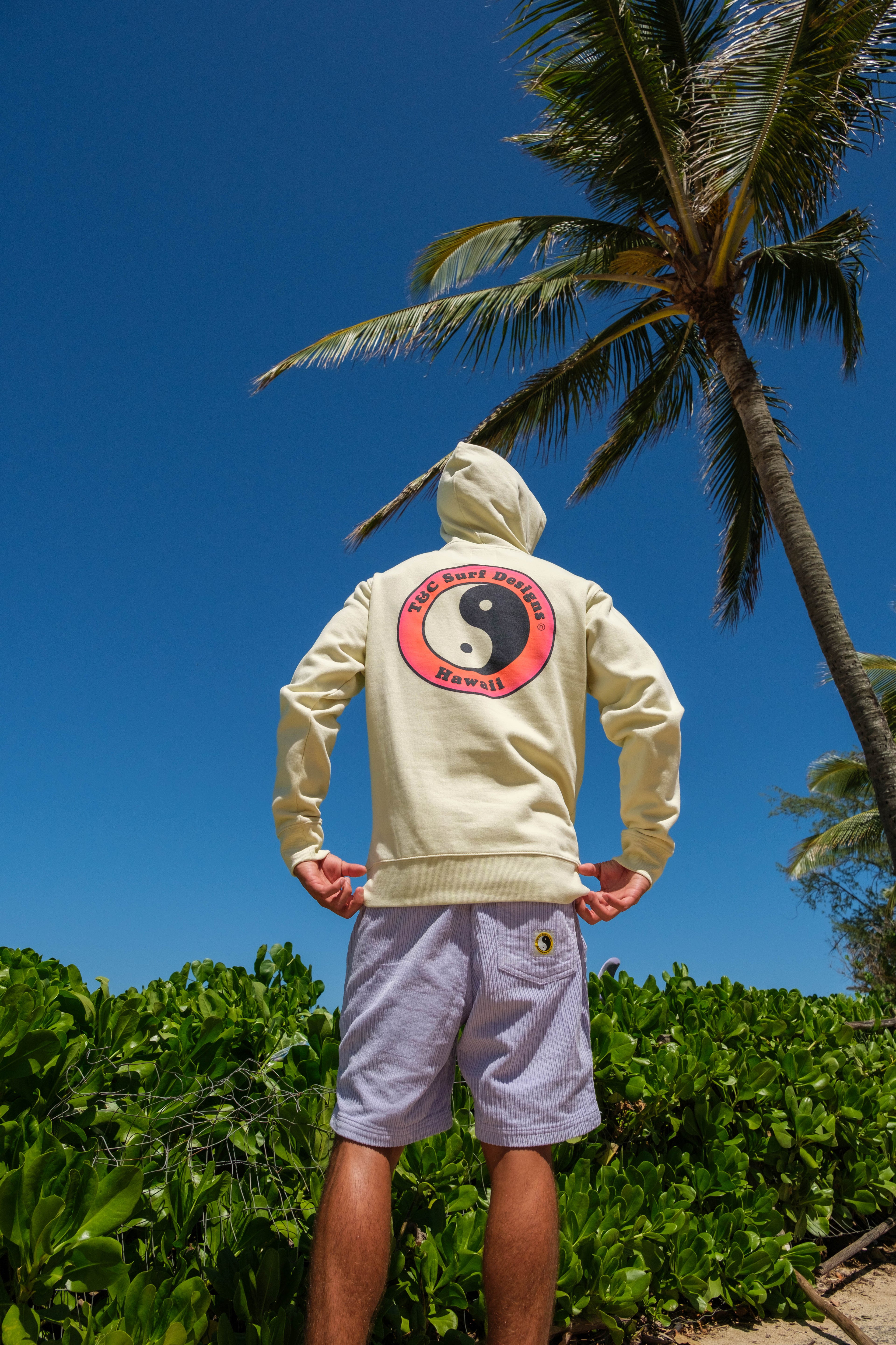 T&C Surf Designs YY Hooded Sweat - Used Sage