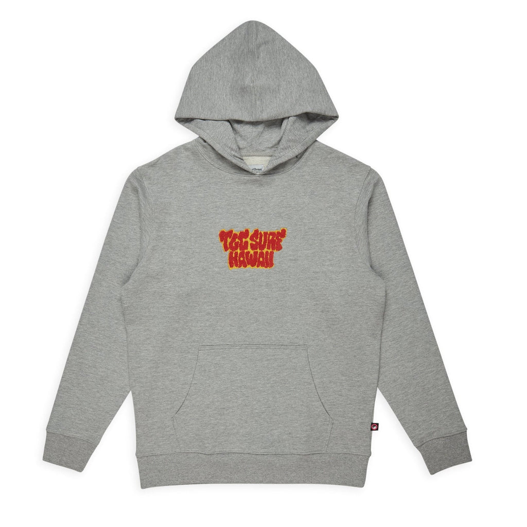 T&C Surf Designs Chenille Hooded Sweatshirt- Gray Heather